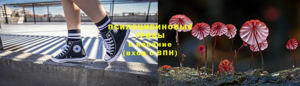 крисы Аркадак