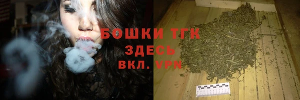 крисы Аркадак