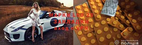 крисы Аркадак