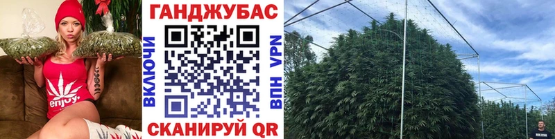 даркнет сайт  hydra сайт  Канабис Amnesia  Черняховск 
